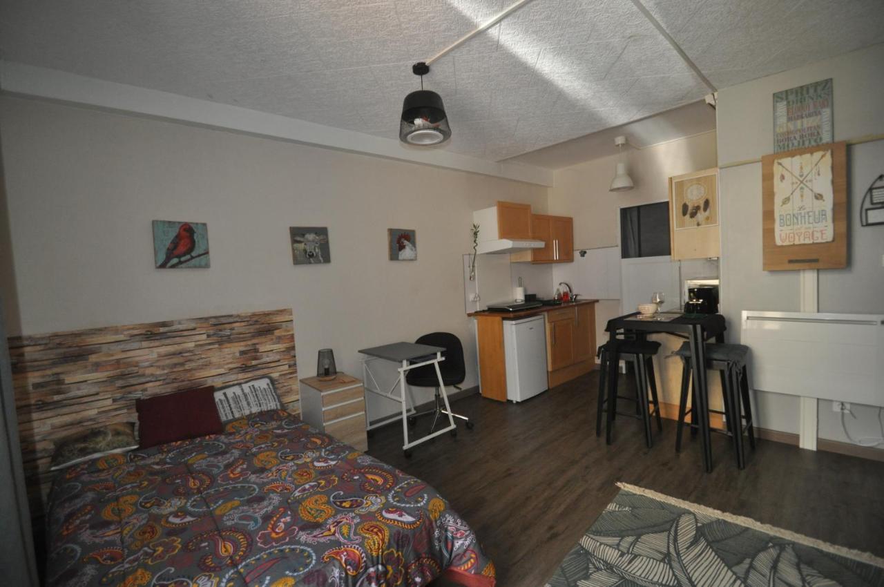 Beaublache Residence Studios Meubles Grenoble Ngoại thất bức ảnh