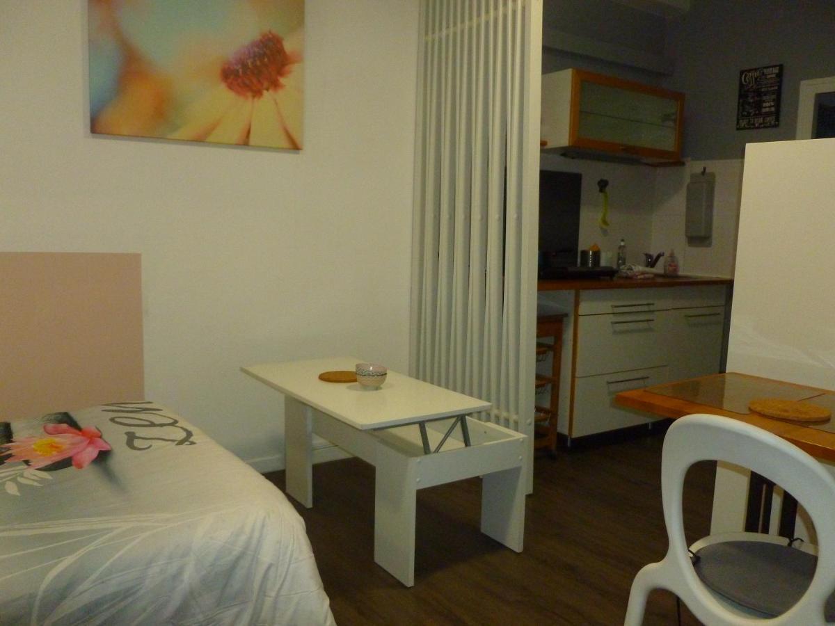 Beaublache Residence Studios Meubles Grenoble Ngoại thất bức ảnh