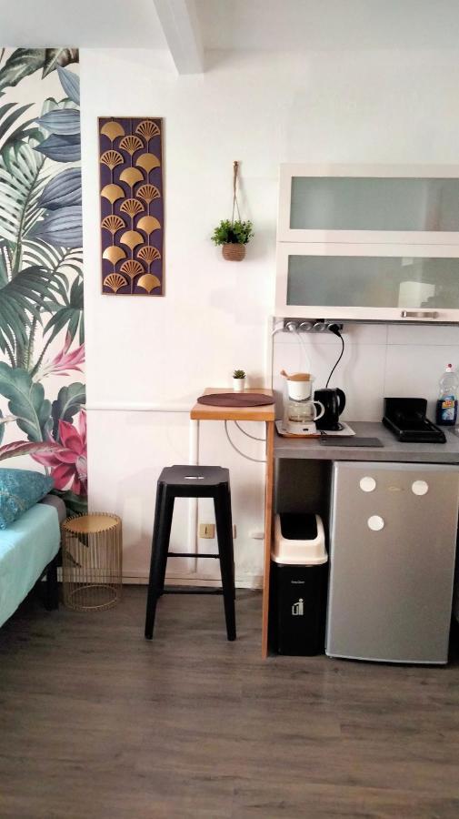 Beaublache Residence Studios Meubles Grenoble Ngoại thất bức ảnh