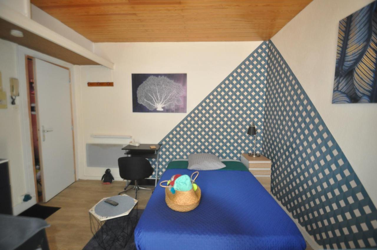Beaublache Residence Studios Meubles Grenoble Ngoại thất bức ảnh